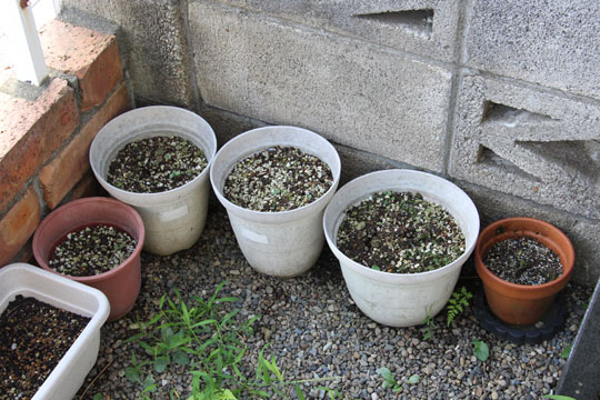 f:id:takahikonojima:20170826183010j:plain