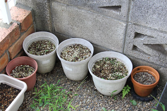 f:id:takahikonojima:20170826183214j:plain