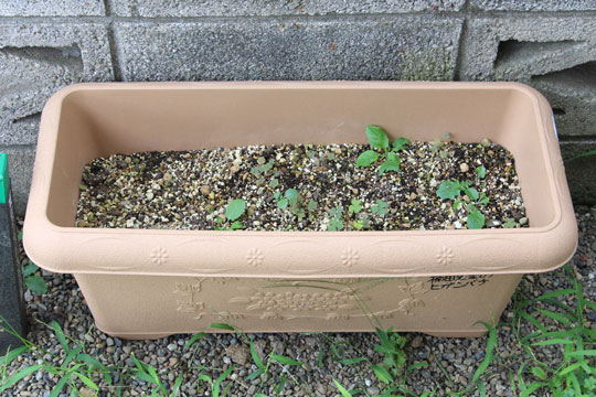 f:id:takahikonojima:20170826183222j:plain