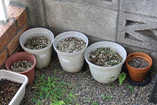 f:id:takahikonojima:20170826183333j:plain