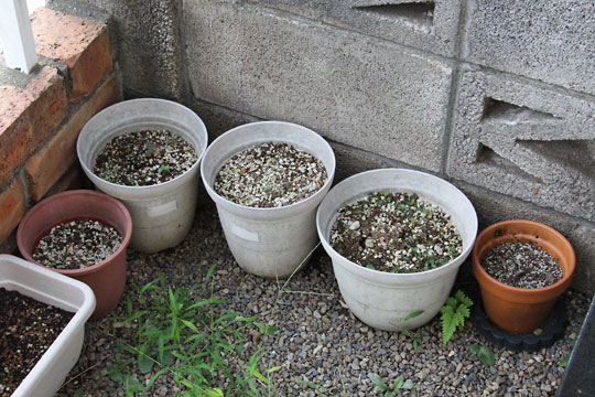 f:id:takahikonojima:20170831115618j:plain