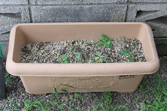 f:id:takahikonojima:20170831115625j:plain