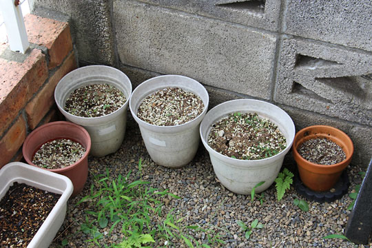 f:id:takahikonojima:20170831115633j:plain