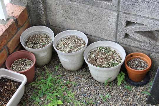 f:id:takahikonojima:20170831115647j:plain