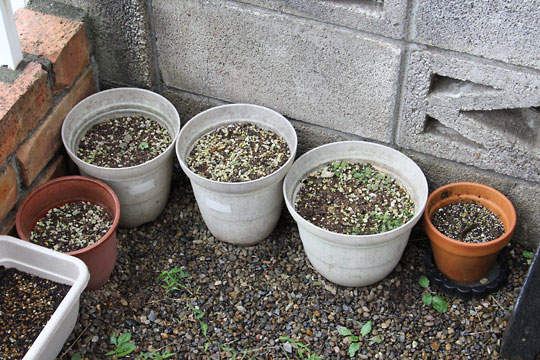 f:id:takahikonojima:20170831115715j:plain