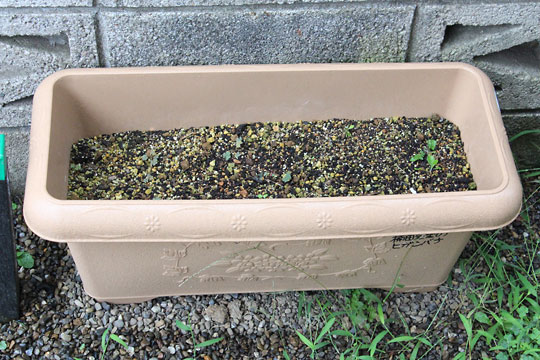 f:id:takahikonojima:20170831115722j:plain