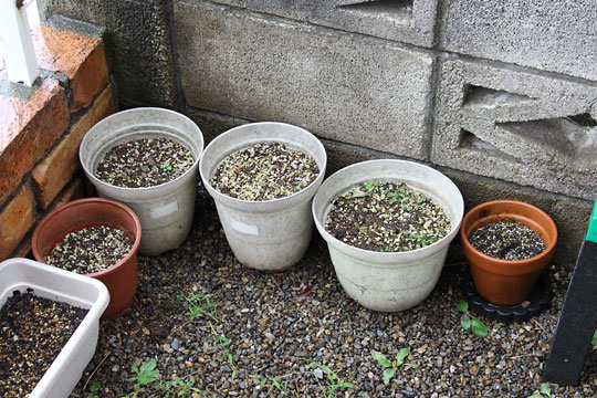 f:id:takahikonojima:20170902175846j:plain