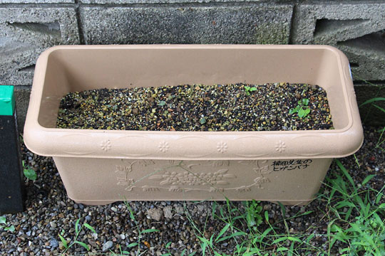 f:id:takahikonojima:20170902175852j:plain