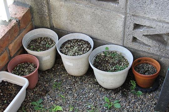 f:id:takahikonojima:20170914162206j:plain