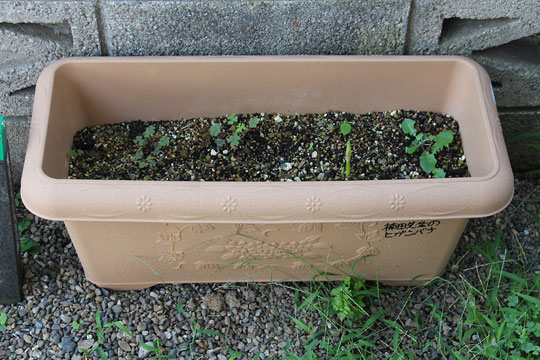 f:id:takahikonojima:20170914162214j:plain