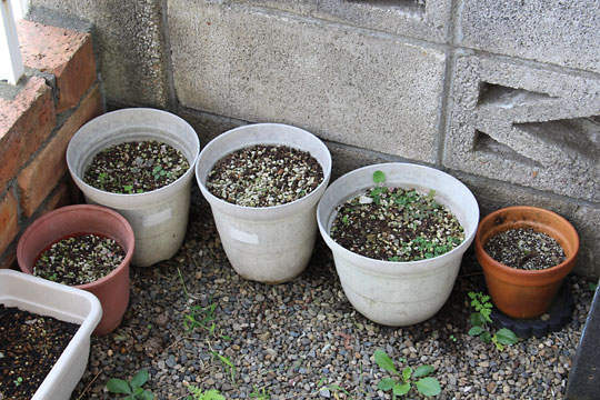 f:id:takahikonojima:20170914162225j:plain