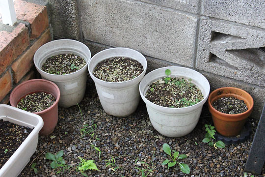 f:id:takahikonojima:20170914162245j:plain