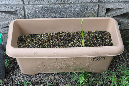 f:id:takahikonojima:20170914162257j:plain