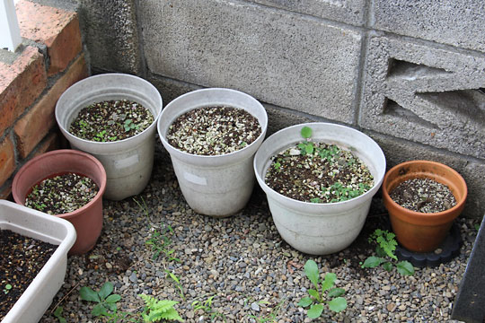 f:id:takahikonojima:20170914162329j:plain