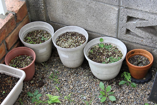 f:id:takahikonojima:20170916195317j:plain