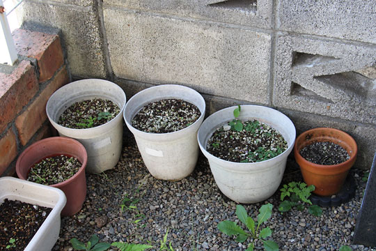 f:id:takahikonojima:20170921175356j:plain