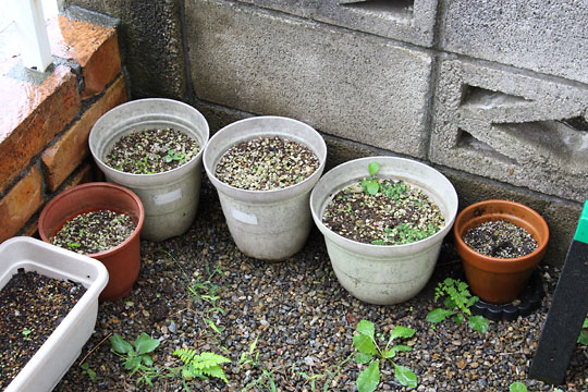 f:id:takahikonojima:20170921175441j:plain