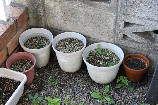 f:id:takahikonojima:20170921175507j:plain