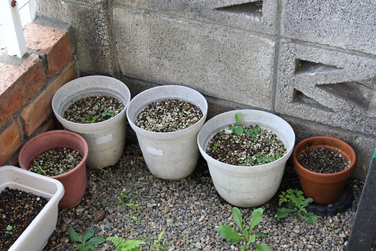 f:id:takahikonojima:20170921175523j:plain