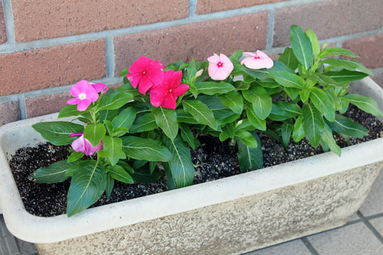 f:id:takahikonojima:20170921181329j:plain