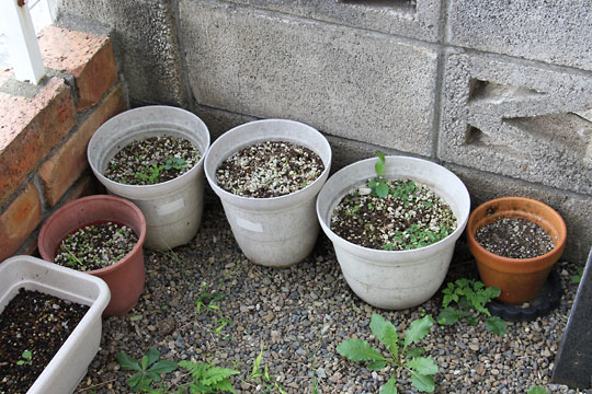 f:id:takahikonojima:20170923100920j:plain