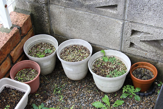 f:id:takahikonojima:20170923100956j:plain