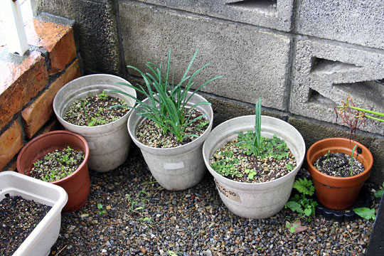 f:id:takahikonojima:20171022095130j:plain