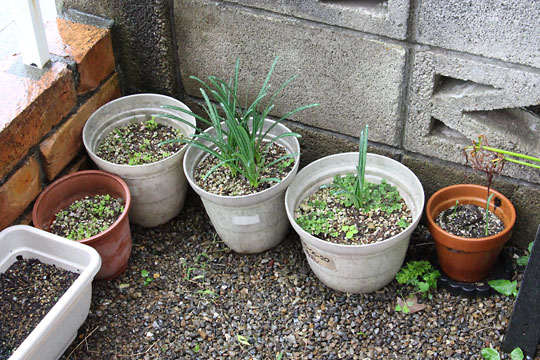 f:id:takahikonojima:20171022095145j:plain