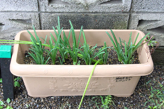 f:id:takahikonojima:20171022095156j:plain