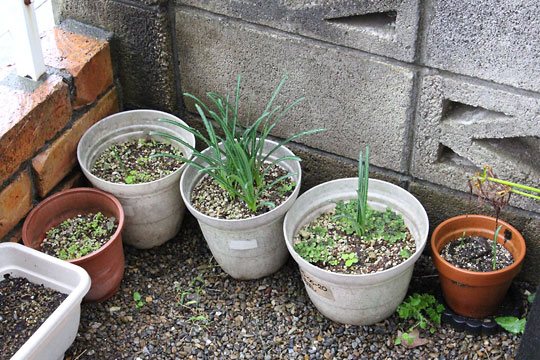 f:id:takahikonojima:20171022095203j:plain