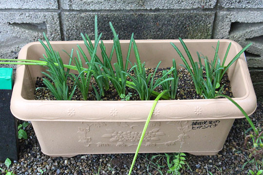 f:id:takahikonojima:20171022095211j:plain