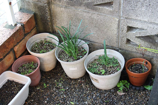 f:id:takahikonojima:20171022095221j:plain