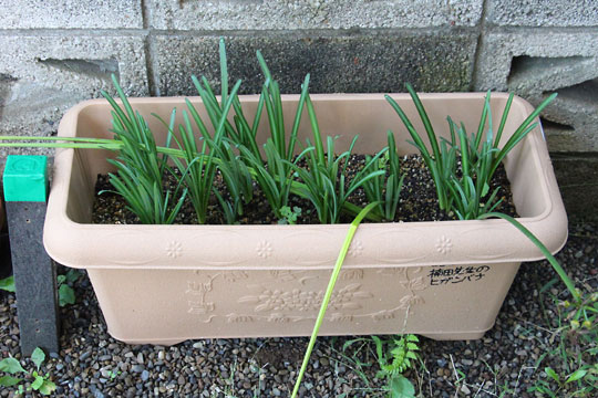 f:id:takahikonojima:20171022095228j:plain