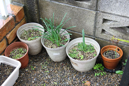 f:id:takahikonojima:20171022095235j:plain