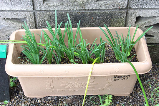 f:id:takahikonojima:20171022095243j:plain