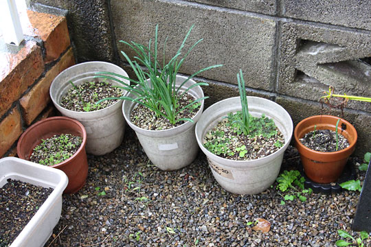 f:id:takahikonojima:20171022095250j:plain