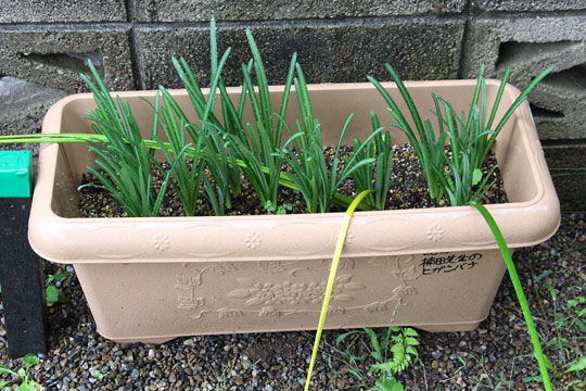 f:id:takahikonojima:20171022095257j:plain