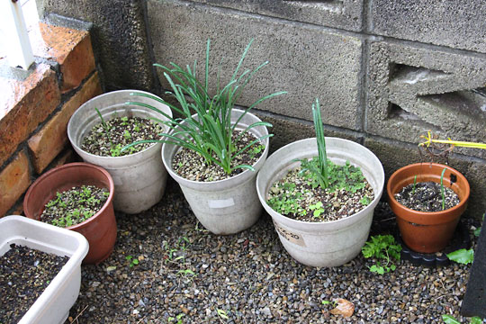 f:id:takahikonojima:20171022095304j:plain