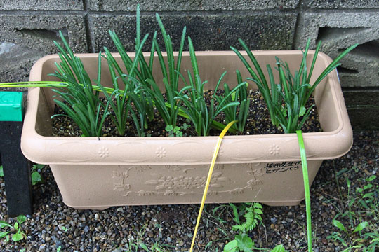 f:id:takahikonojima:20171022095310j:plain