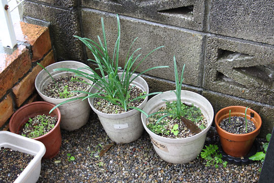 f:id:takahikonojima:20171102110038j:plain