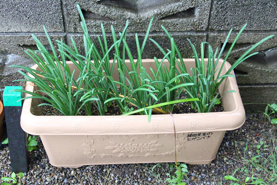 f:id:takahikonojima:20171102110047j:plain