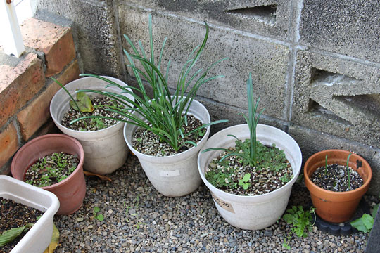 f:id:takahikonojima:20171102110119j:plain