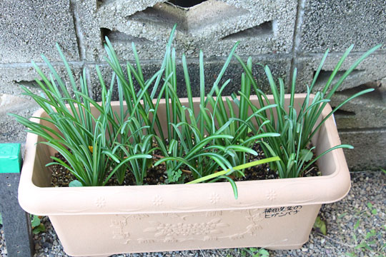 f:id:takahikonojima:20171102110130j:plain