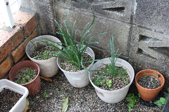 f:id:takahikonojima:20171102110137j:plain