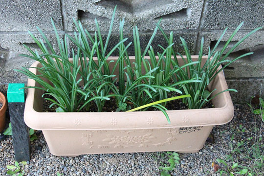 f:id:takahikonojima:20171102110150j:plain