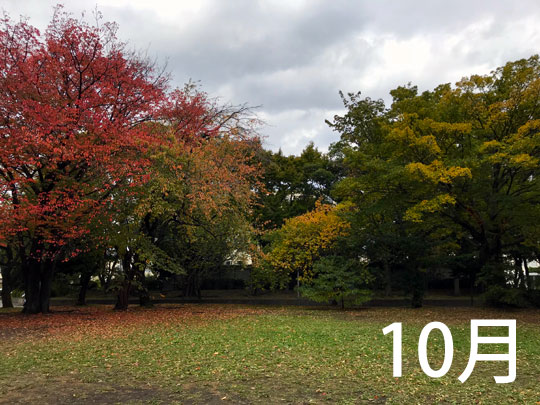 f:id:takahikonojima:20171102114316j:plain