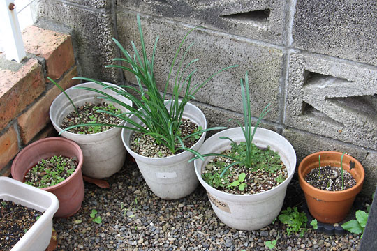 f:id:takahikonojima:20171104080147j:plain