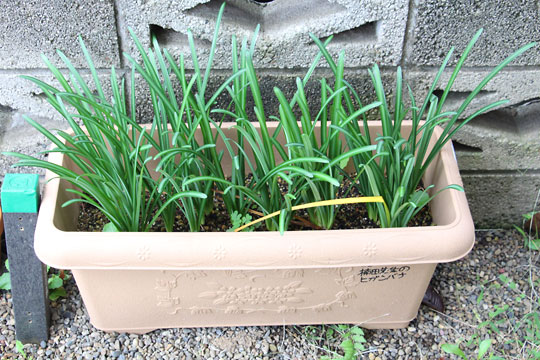 f:id:takahikonojima:20171104080155j:plain