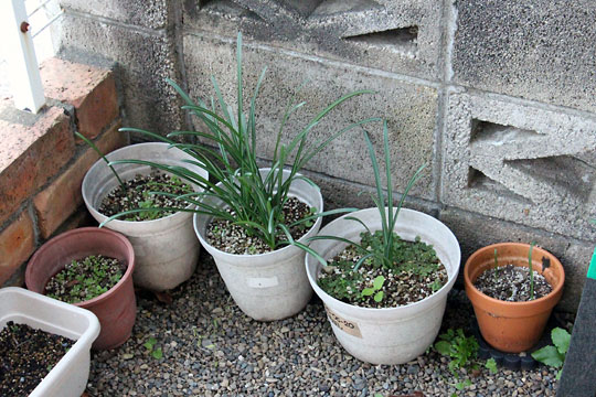 f:id:takahikonojima:20171110165614j:plain