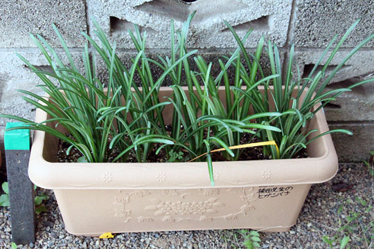 f:id:takahikonojima:20171110165620j:plain